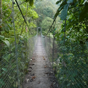 Bridge over the Rio Hollin at Narupa Reserve